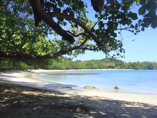 Shade is bliss on a hot day, Caroline Bay, Malekula.
