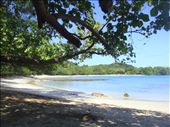 Shade is bliss on a hot day, Caroline Bay, Malekula.: by thomasz, Views[202]