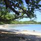 Shade is bliss on a hot day, Caroline Bay, Malekula. Views[167]