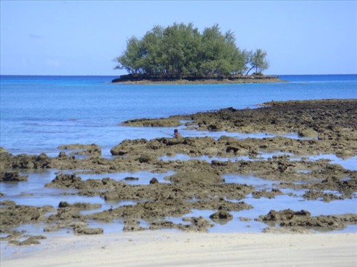 Boy out fishing on the reef, Caroline Bay, Malekula.