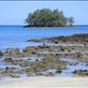 Boy out fishing on the reef, Caroline Bay, Malekula. Views[175]