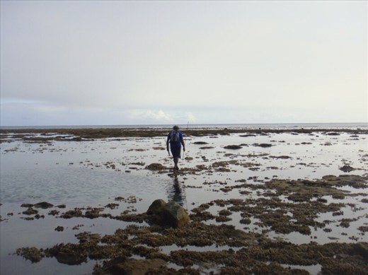 Walking on the reef to get back home, between Limbinwen and White Sand, Malekula.