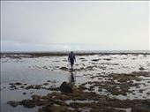 Walking on the reef to get back home, between Limbinwen and White Sand, Malekula.: by thomasz, Views[177]