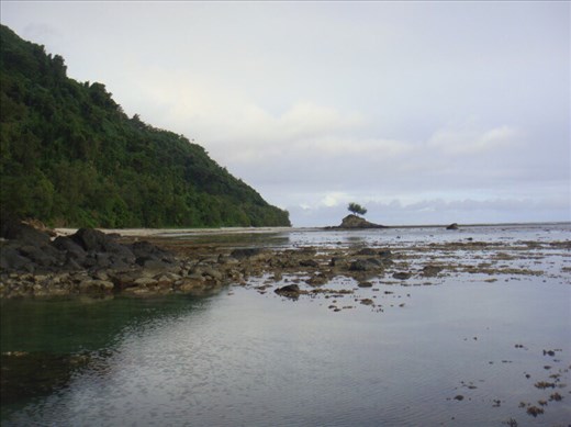 'The road' ahead, between Limbinwen and White Sand, Malekula.