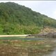 Deserted beach, between Limbinwen and White Sand, Malekula. Views[141]