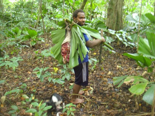 We got a whole leg!, Caroline Bay, Malekula.