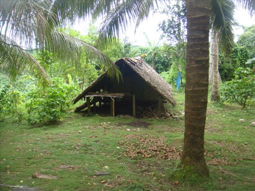 Bush house, Caroline Bay, Malekula.