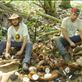 Shelling out coconuts for copra, Caroline Bay, Malekula. Views[283]