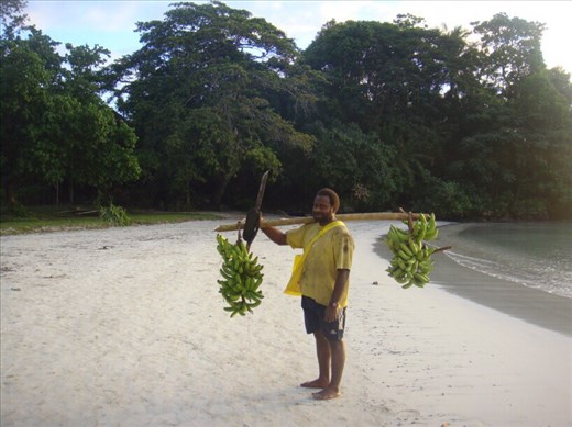Chanel carrying bananas, Caroline Bay, Malekula.