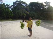 Chanel carrying bananas, Caroline Bay, Malekula.: by thomasz, Views[215]