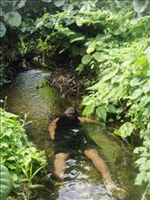 Chanel looking for naura (crayfish), Caroline Bay, Malekula.: by thomasz, Views[218]