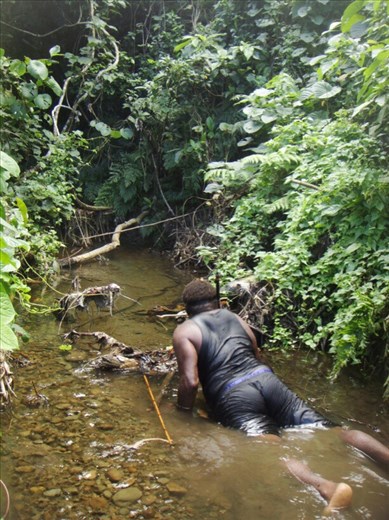 Quite an effort, Caroline Bay, Malekula.
