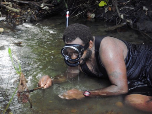 Got one!, Caroline Bay, Malekula.