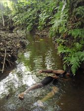 Chanel's together with Maurice the best diver around, Caroline Bay, Malekula.: by thomasz, Views[167]