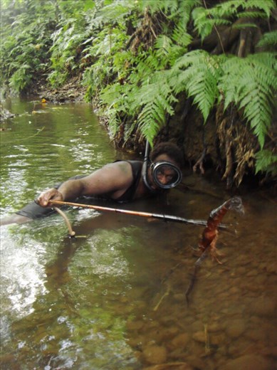 'Just spear 'em', Caroline Bay, Malekula.