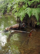 'Just spear 'em', Caroline Bay, Malekula.: by thomasz, Views[117]