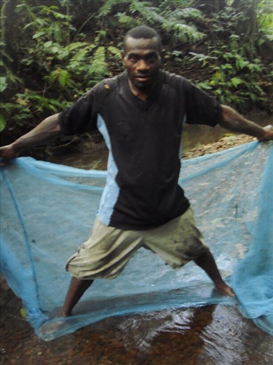 Batman Maurice, using a mosquito net for fishing, Caroline Bay, Malekula.
