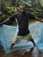 Batman Maurice, using a mosquito net for fishing, Caroline Bay, Malekula.: by thomasz, Views[144]