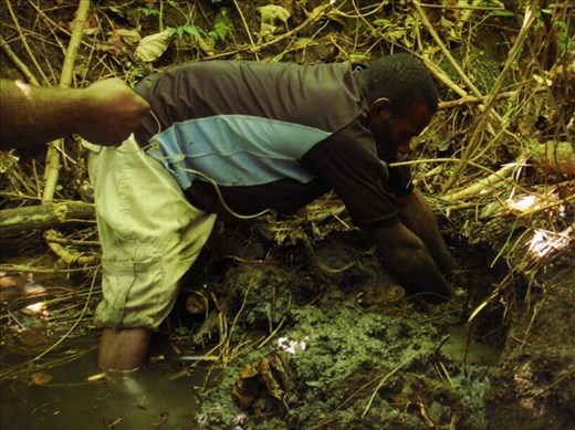 Maurice hooking an eel (he's the only one in the area who knows how), Caroline Bay, Malekula.