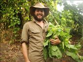 Cabbage boy, Caroline Bay, Malekula.: by thomasz, Views[152]