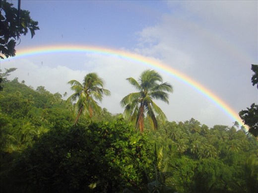 Rainbow over coconut trees, Lombaha, Ambae.