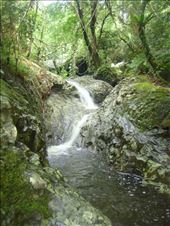 More falls in the backyard, Lombaha, Ambae.: by thomasz, Views[133]