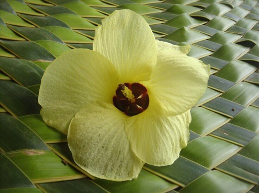 Flower on mat, Lombaha, Ambae.