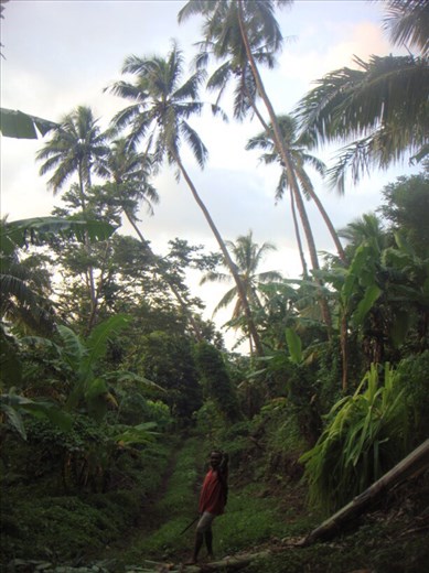 Luke going down to get some kava, Lombaha, Ambae.