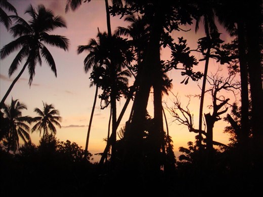 Purple haze, Lombaha, Ambae.