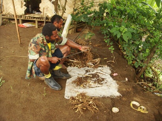 Cousin and Luke cleaning kava, Lombaha, Ambae.
