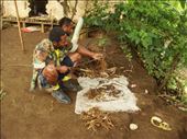 Cousin and Luke cleaning kava, Lombaha, Ambae.: by thomasz, Views[142]