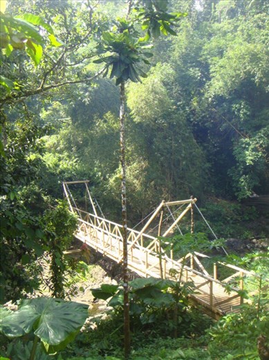 Newly constructed bridge, Lombaha, Ambae.