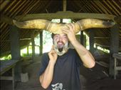 Bull-boar-man!, Lombaha, Ambae.: by thomasz, Views[190]