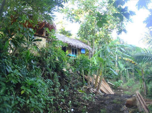 The house, as seen from the road, Lombaha, Ambae.