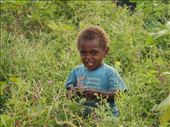 Hipio playing in the grass, Lownelapen, Tanna.: by thomasz, Views[198]
