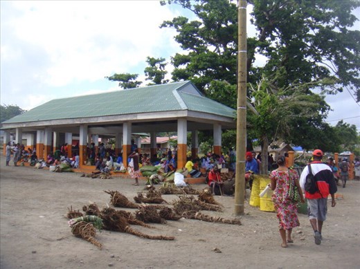 Lenakel market, kava roots in the front, Lenakel, Tanna.
