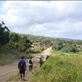 Road into Lenakel, Tanna. Views[215]