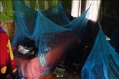 Mosquito nets, Lombaha, Ambae.: by thomasz, Views[178]