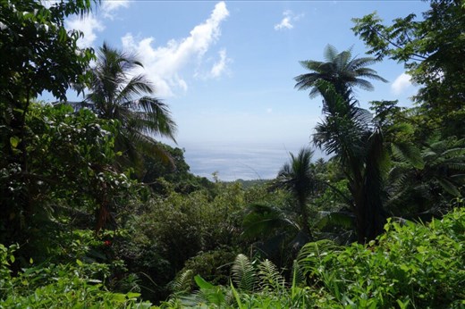 View from the house, Lombaha, Ambae.