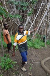 Robert: 'my hands are too sweaty for swinging vines', giant banyan, Leitouapam, Tanna.: by thomasz, Views[146]