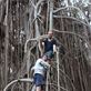 A banyan is easy to climb, giant banyan, Leitouapam, Tanna. Views[162]