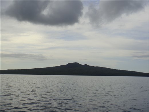 Rongitoto Island.