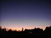A very cold night, KeriKeri, Northland.: by thomasz, Views[262]