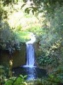 Mini waterfall, Kerkeri, Northland.: by thomasz, Views[251]