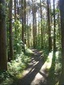 Kerikeri walkway, Northland.: by thomasz, Views[175]