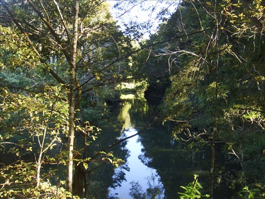 Kerikeri river, Northland.