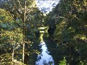 Kerikeri river, Northland.: by thomasz, Views[195]