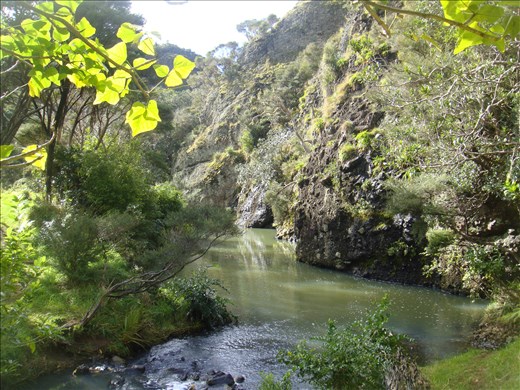 Wairakau stream track, Whangaroa harbour, Northland.