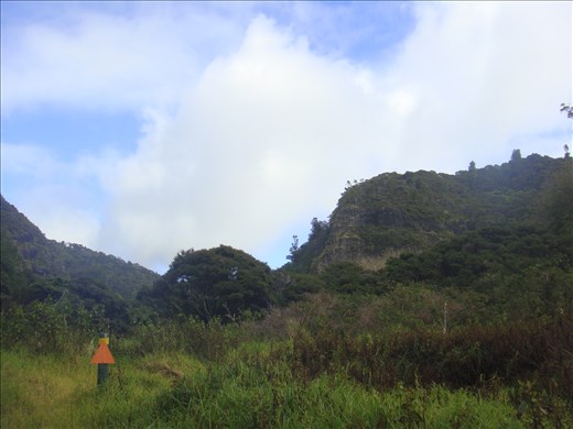 Track marker, Wairakau stream track, Whangaroa harbour, Northland.
