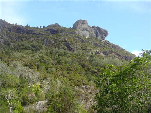 Outcrop, Wairakau stream track, Whangaroa harbour, Northland.